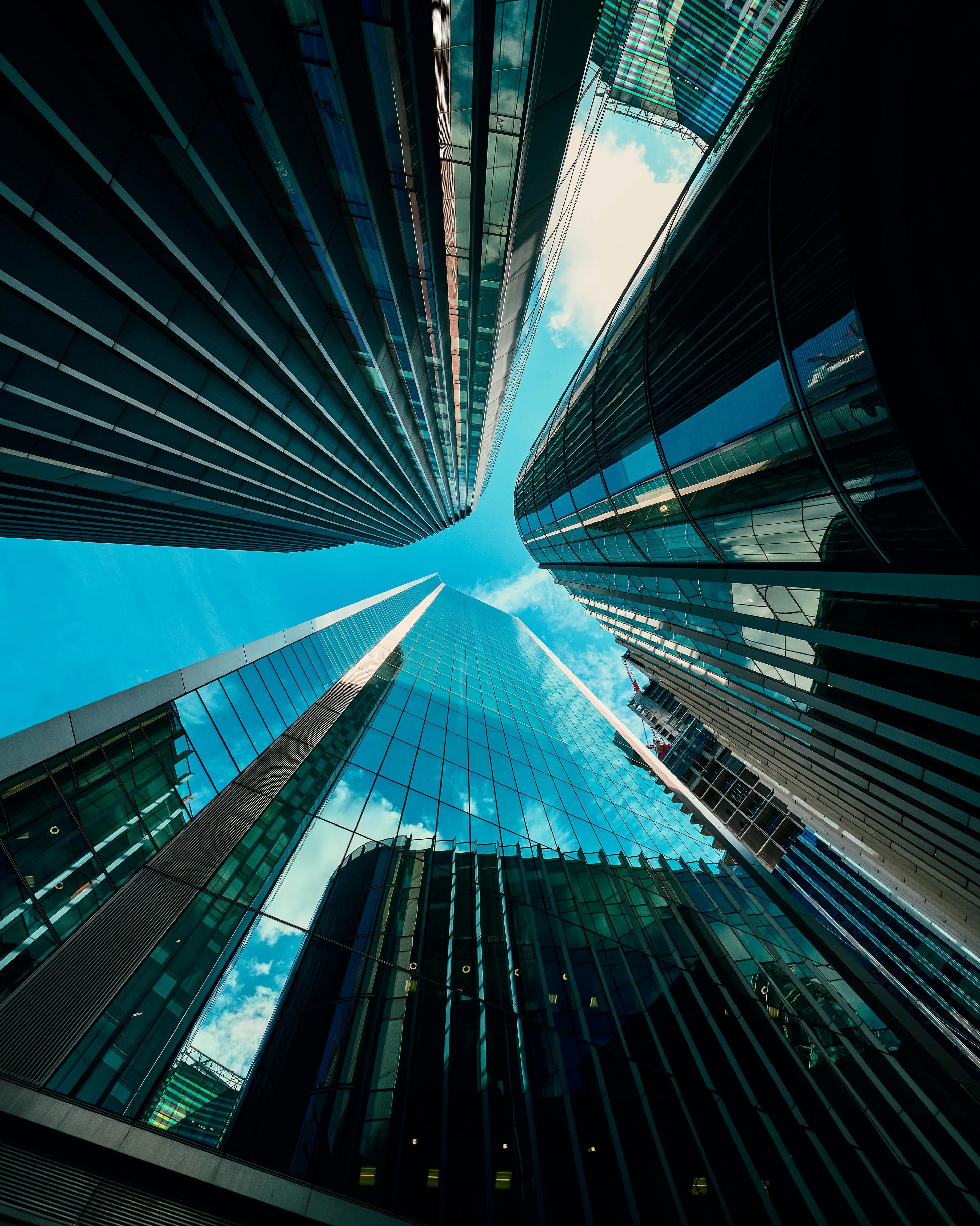 Şirket Kuruluş & Sicil